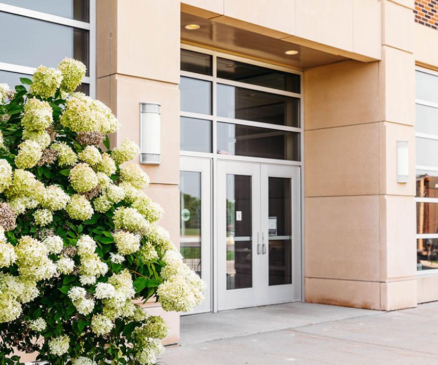 A campus entrance and hydrangea in bloom